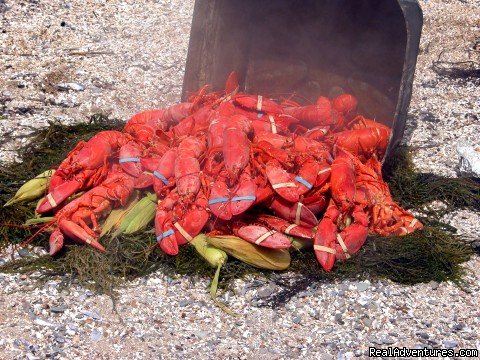 All-you-can-eat lobster cookout | Sail the Maine Coast on the Schooner Stephen Taber | Image #3/7 | 