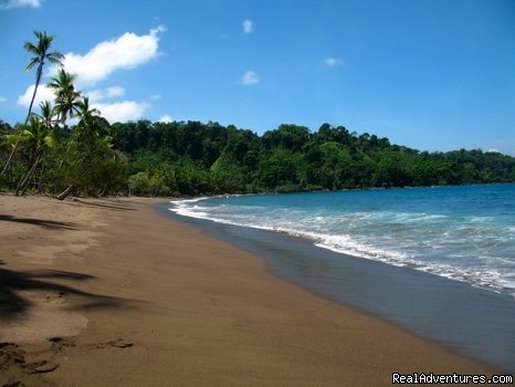 A beach to yourself