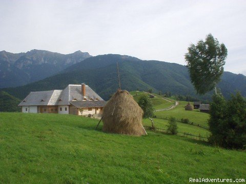 Inn on Balaban (Carpathian Mnts) | Traditional Romania: Luxury Escorted Itineraries | Bran, Romania | Sight-Seeing Tours | Image #1/5 | 