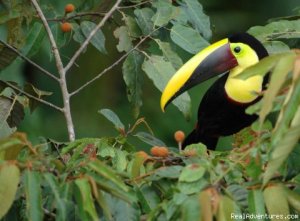 Outdoors Adventures  in Panama