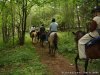 Nature & History Tours- Catskills, Poconos & more | New York, New York