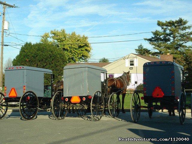 Nature & History Tours- Catskills, Poconos & more | Image #6/25 | 