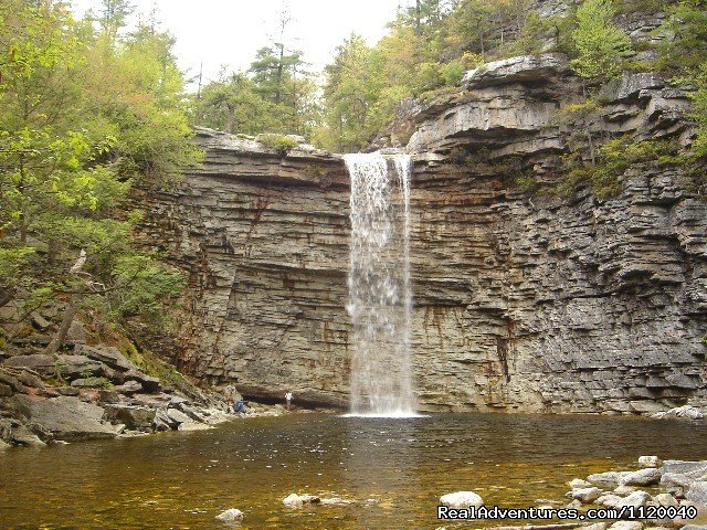 Nature & History Tours- Catskills, Poconos & more | Image #16/25 | 