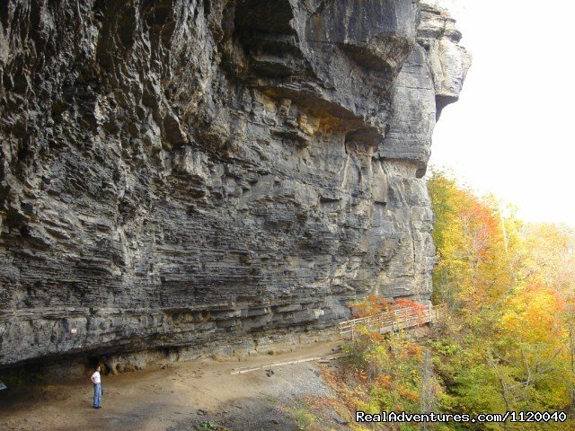 Nature & History Tours- Catskills, Poconos & more | Image #18/25 | 