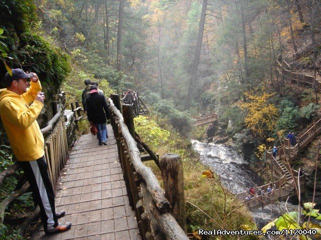 Nature & History Tours- Catskills, Poconos & more | Image #24/25 | 