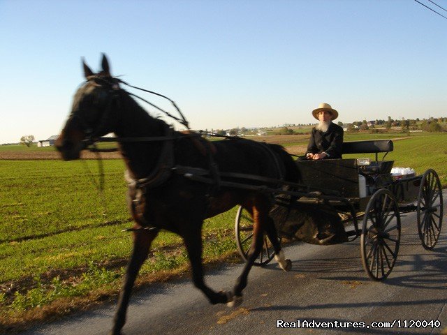 Nature & History Tours- Catskills, Poconos & more | Image #25/25 | 