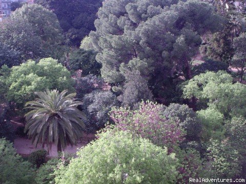 Prince of Trabia Park's view | Elegant Apartment In Palermo Centre | Palermo, Italy | Vacation Rentals | Image #1/7 | 