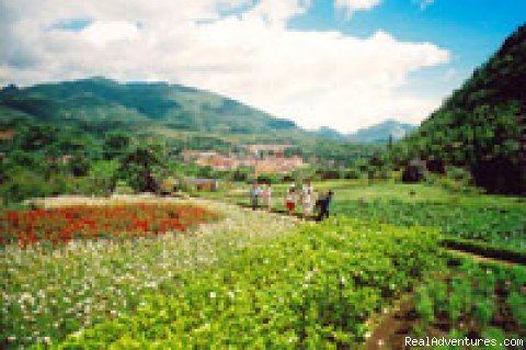 sapa | travel with CAPTOUR | Hanoi, Viet Nam | Sight-Seeing Tours | Image #1/3 | 