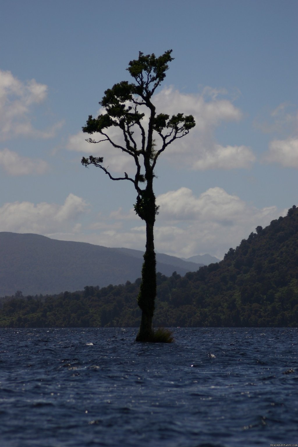 One Tree Point | Lake Brunner Lodge | Image #2/2 | 