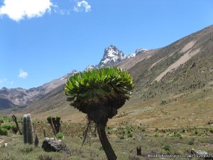 Go To Mt kenya Trekking