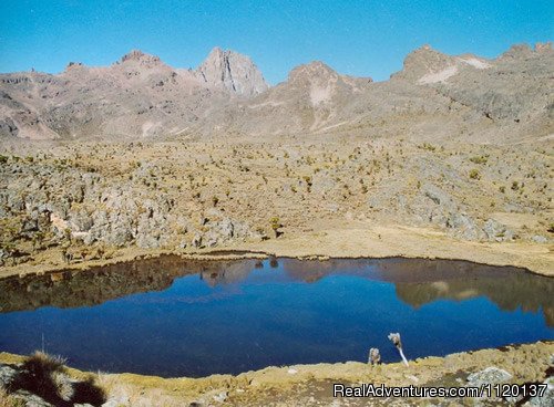 Go To Mount Kenya Halls Tarns | Go To Mt kenya Trekking | Image #5/7 | 