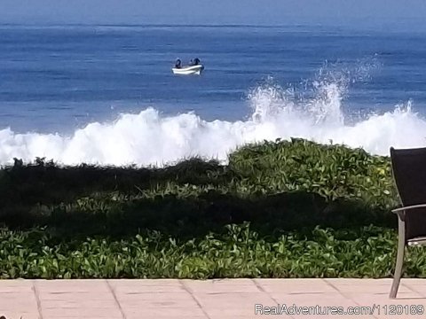 Local fishermen