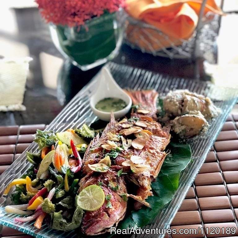 Red Snapper for Lunch | Oceanfront getaway San Miguel del Mar | Image #12/26 | 