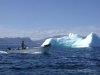 Wildland Tours | St. John's, Newfoundland