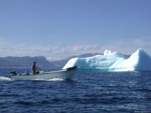 Wildland Tours | St. John's, Newfoundland | Sight-Seeing Tours