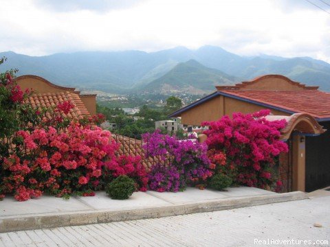 Entranceway to our home | Cooking classes in Oaxaca, Mexico | Oaxaca, Mexico | Articles | Image #1/4 | 