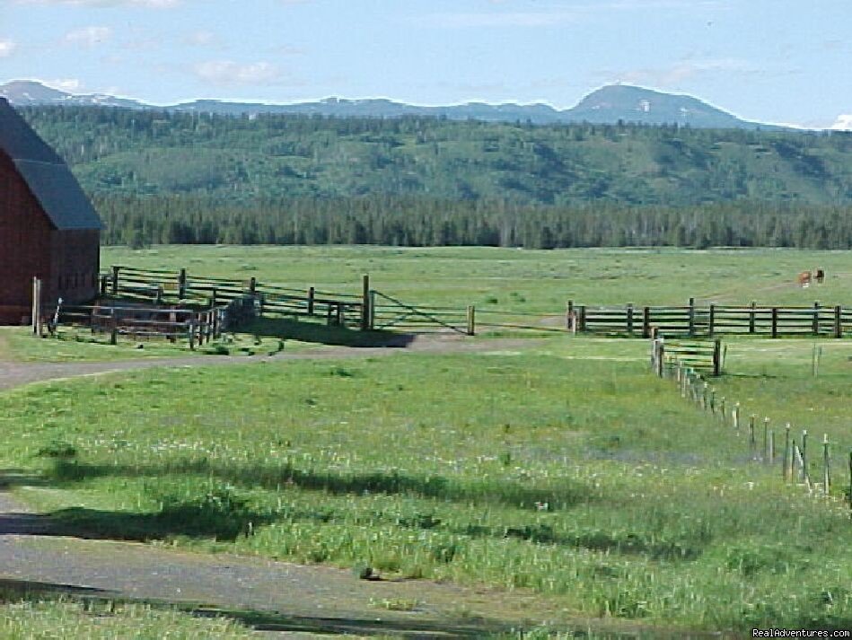 Thurman Ridge | Fantastic Horseback Riding in Yellowstone Country | Image #3/15 | 