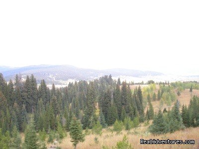 Bronson Point | Fantastic Horseback Riding in Yellowstone Country | Image #8/15 | 