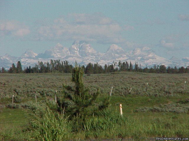 Teton Peaks | Fantastic Horseback Riding in Yellowstone Country | Image #12/15 | 