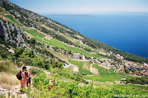 Adventure in Croatia | Adventure week on most beautiful island in Croatia | Image #4/7 | 