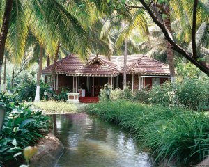 Kairali  -  The Ayurvedic Healing Village