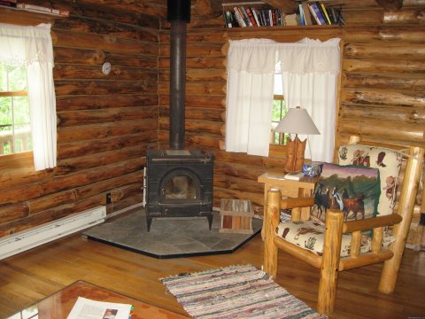 Wood burning stove in The Grandview