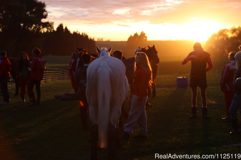 Horseback riding holidays in New Zealand | Image #5/5 | 