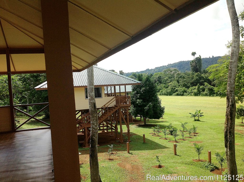 Balcony View Of The Jungle In Nature Reserve Of Suriname | 9 days guided package tour Guianas South America | Image #3/9 | 