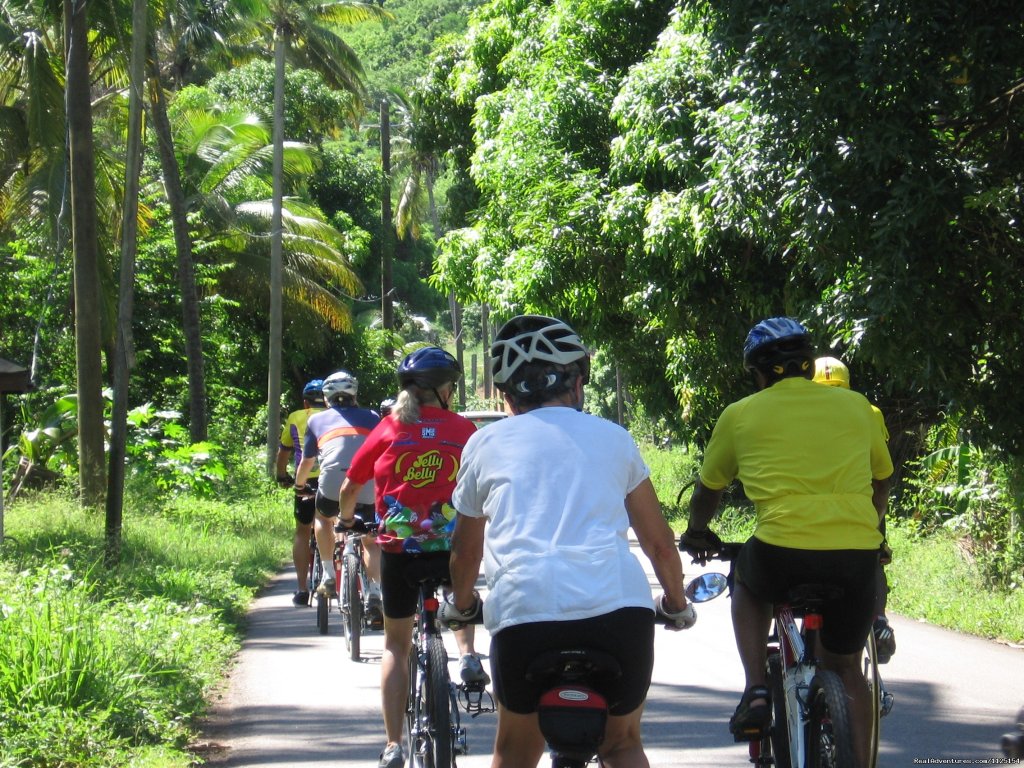 On the road | Fun Bicycle Tours, Alaska, Caribbean & Europe. | Image #3/8 | 