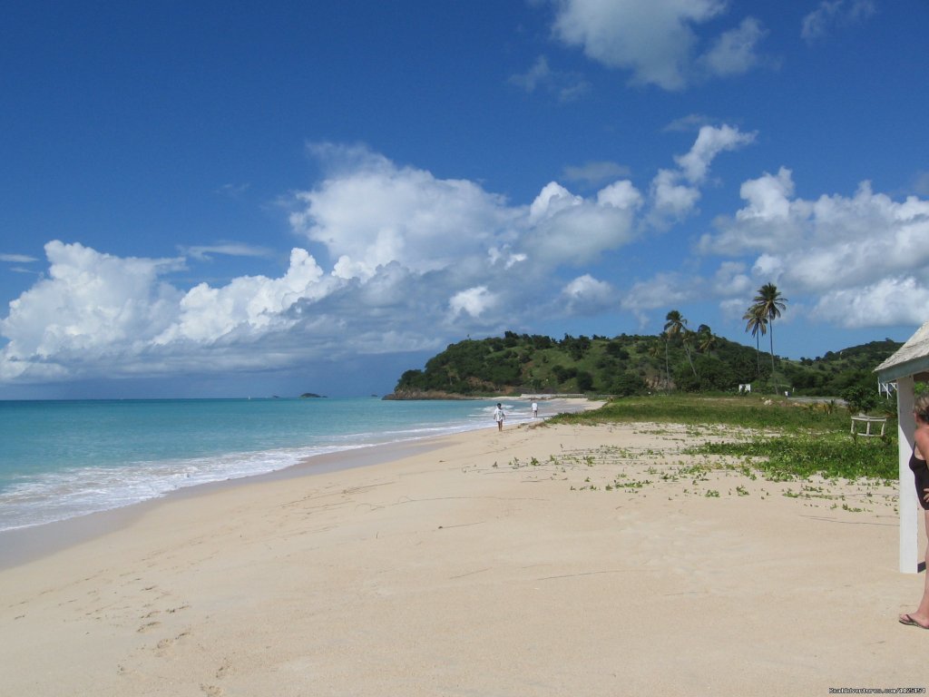 Gorgeous Beach | Fun Bicycle Tours, Alaska, Caribbean & Europe. | Image #2/8 | 