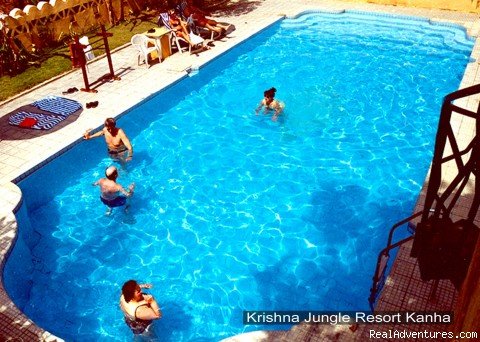 Swimming Pool | Take A Wildlife Holiday | Image #6/11 | 