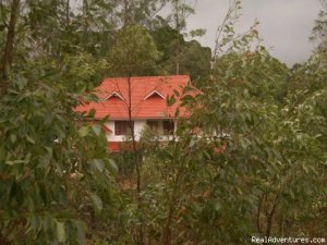 Luxury Homestay - Periyar Tiger Reserve, Thekkady | Thekkady, India | Bed & Breakfasts