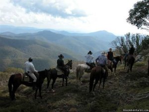 Horse Riding