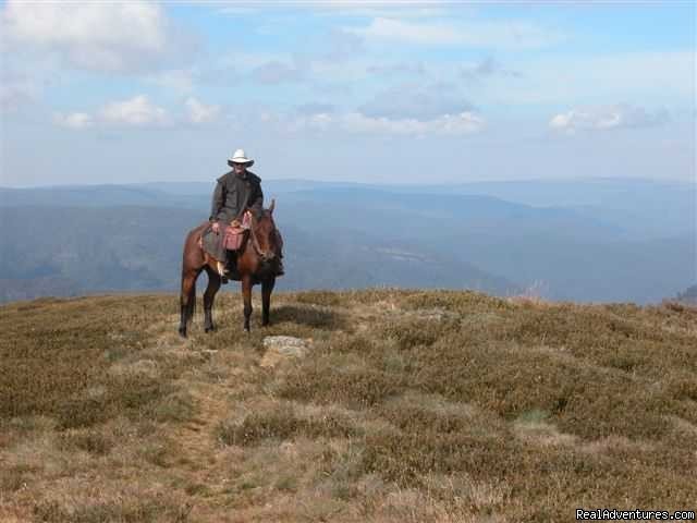 Photo 4 | Horse Riding | Image #4/21 | 