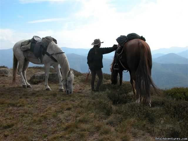 Photo 6 | Horse Riding | Image #6/21 | 