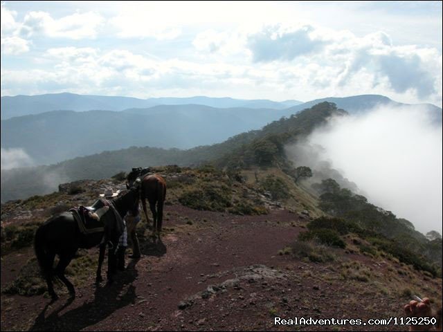 Photo 13 | Horse Riding | Image #13/21 | 