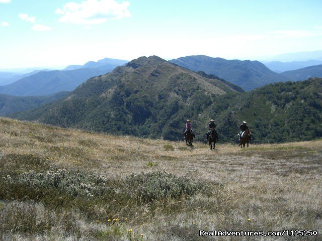 Photo 15 | Horse Riding | Image #14/21 | 