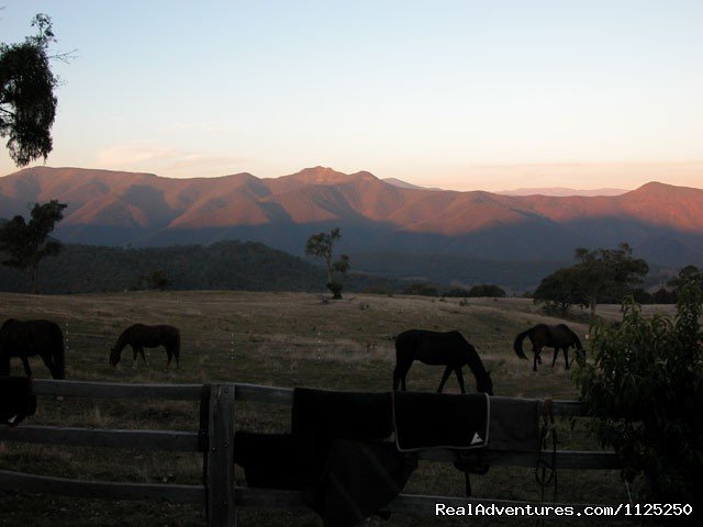 Photo 20 | Horse Riding | Image #18/21 | 