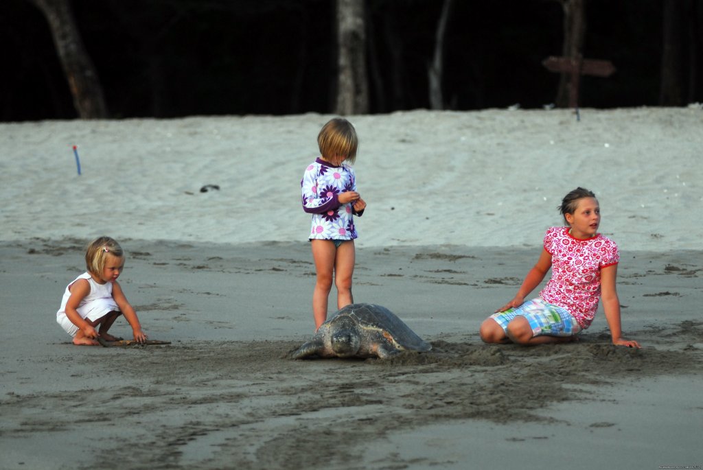 Playa el Coco and Playa la Flor | Beachfront vacation rentals, San Juan del Sur | Image #8/25 | 