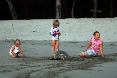 Playa el Coco and Playa la Flor