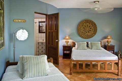 Standard Room | Surfing, Yoga, Ocean View Dining | Image #5/7 | 