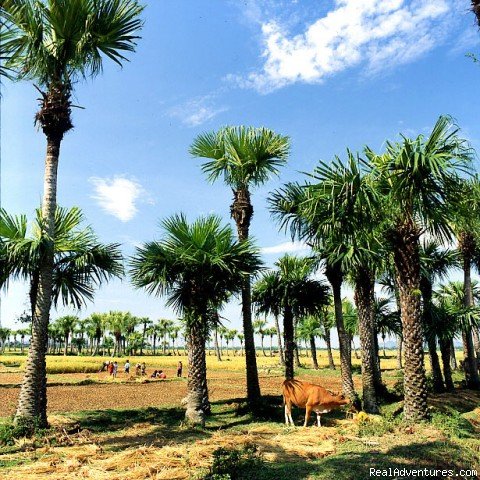 Tay Ninh Vietnam | Charming Vietnam | Image #20/26 | 