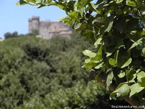 Garden View | B&B ai Gatti del Castello (B&B the Castle's Cats) | Image #3/4 | 