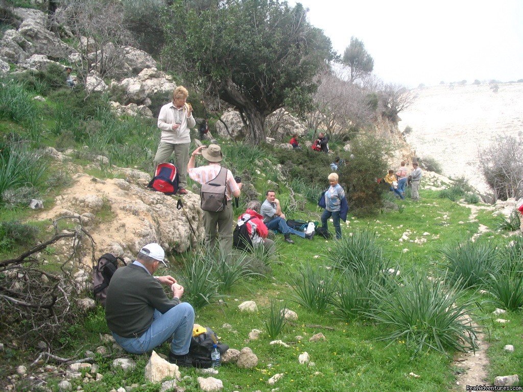 Walking On Cyprus - Trekking Holidays | Cyprus Walking, Trekking, Bike, Hotels & Apartment | Image #2/24 | 