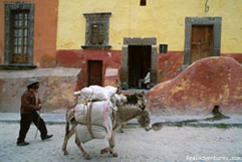 Mexican Adventurers | Learn Guitar & Experience Mexico | Image #3/4 | 