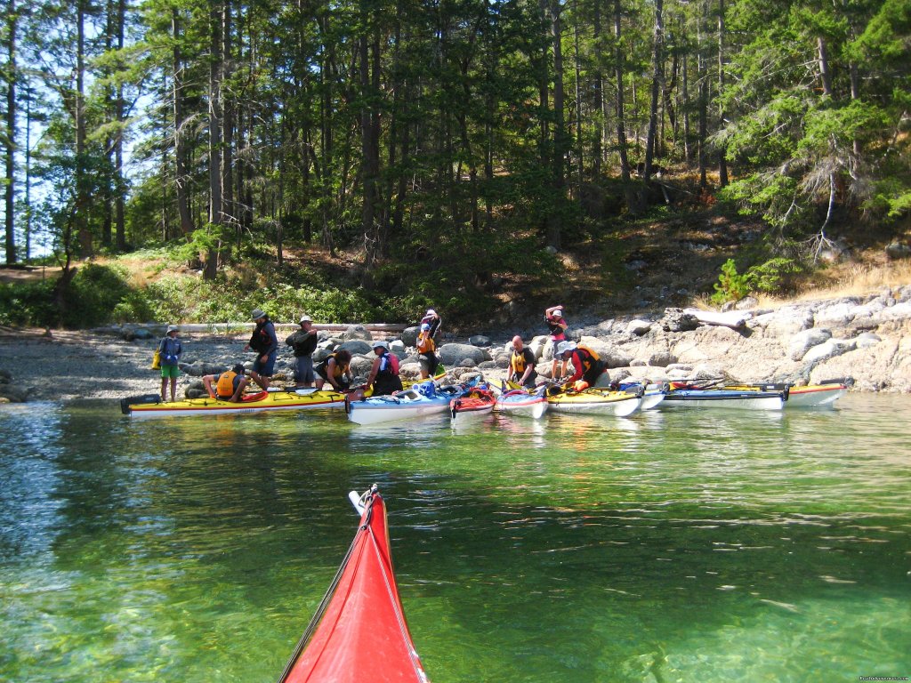 A sheltered bay for camp | Sea Kayak Tours Desolation Sound, British Columbia | Image #11/25 | 