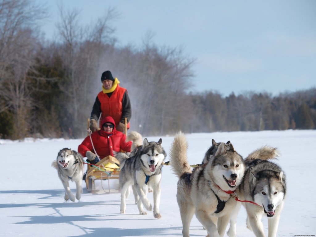 Sledding on the lake | Singing Dogs-Cabin Rentals | Image #3/6 | 