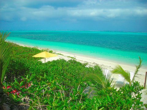 Villa is located right on the ocean and this is the view!