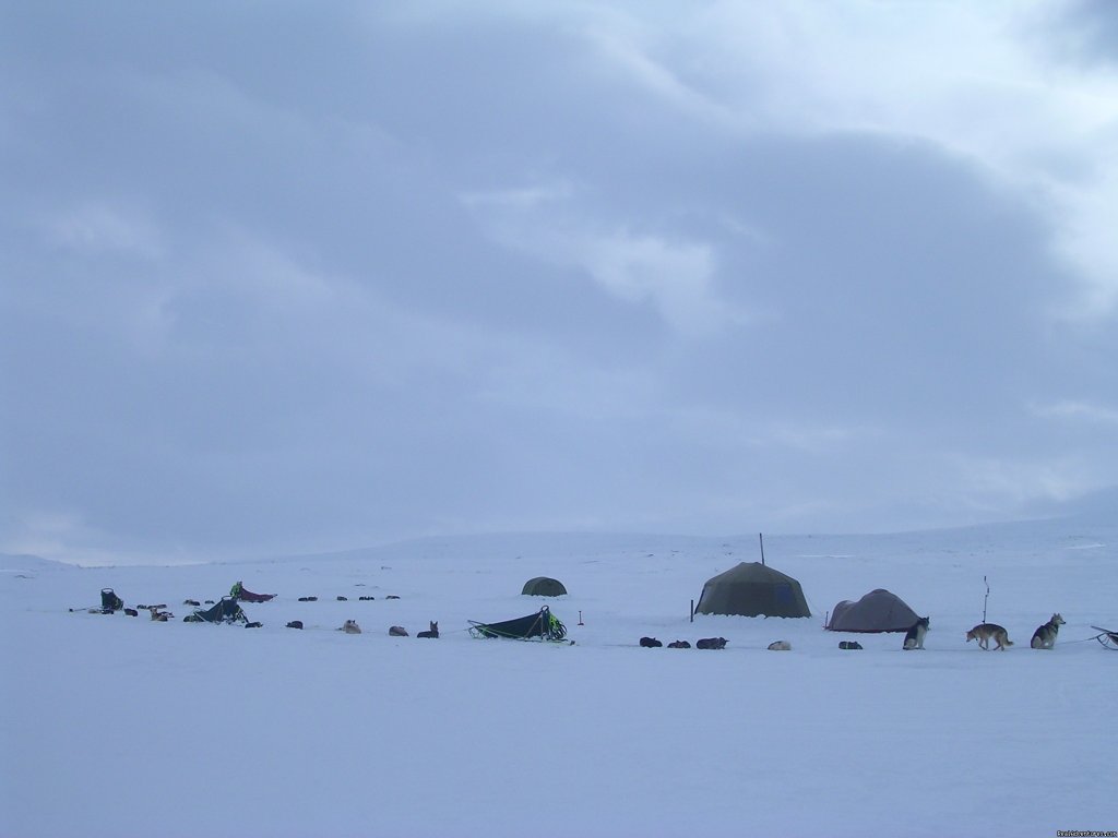 Fishingcamp | Dogsledding in remote nationalpark | Image #3/8 | 