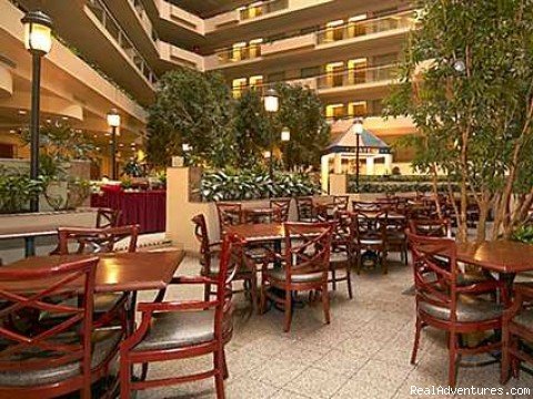 Embassy Suites Secaucus Atrium | Embassy Suites Hotel Secaucus-Meadowlands | Secaucus, New Jersey  | Hotels & Resorts | Image #1/3 | 